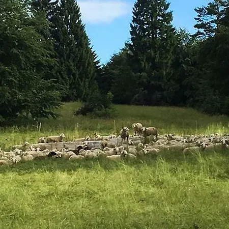 Auf Staufen Am Trauf Lejlighed *